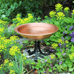 Achla Designs Birdbath Collection